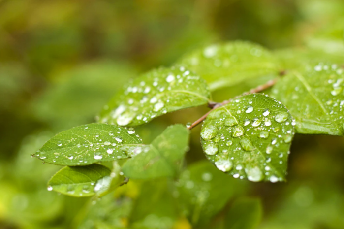 Дождливая погода вернется в Казахстан