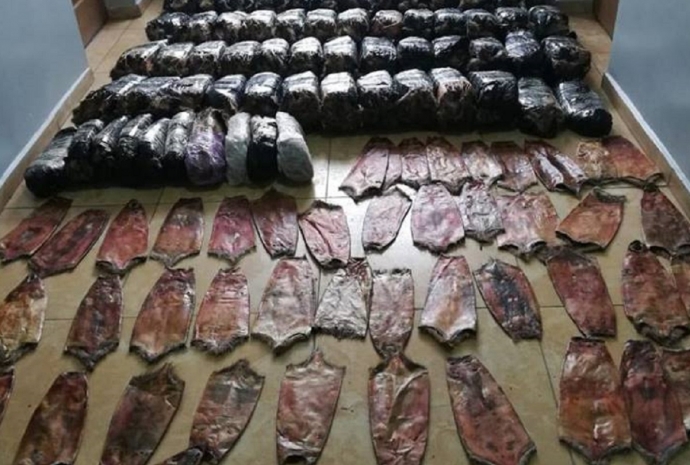 Контрабанду крупной партии пушнины выявили в Алматинской области