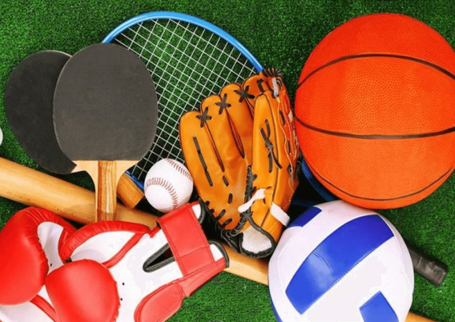 Нарушения по программе ArtSport выявлены в Кокшетау