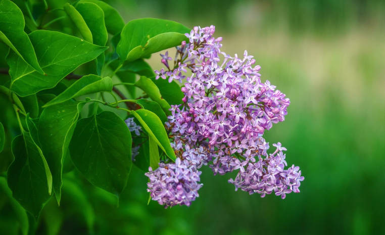 Заморозки ожидаются в двух регионах Казахстана