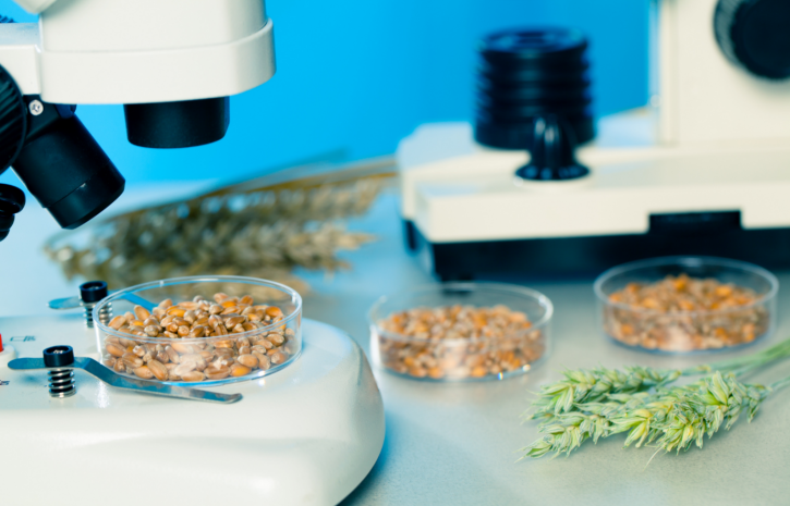 145 нарушений выявлено при ввозе подкарантинной продукции из третьих стран в РК