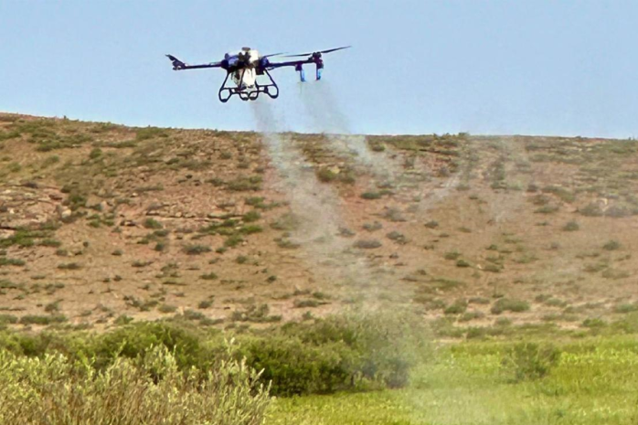 75 тысяч гектаров обработано от саранчи в Карагандинской области