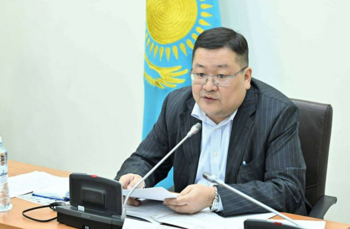 Однопалатный парламент – какой будет власть в Казахстане