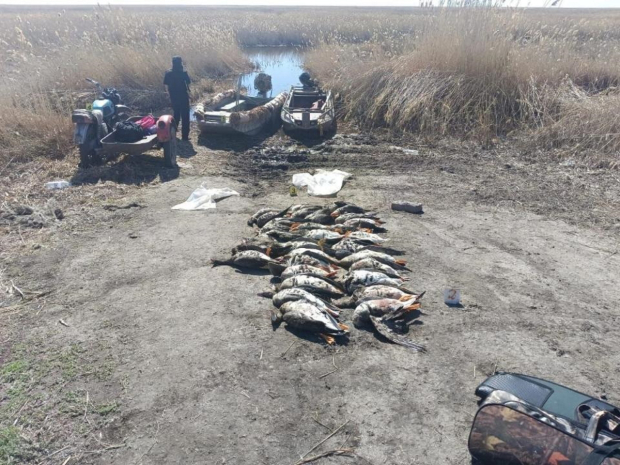 Сотрудник полиции задержан за незаконную охоту в СКО