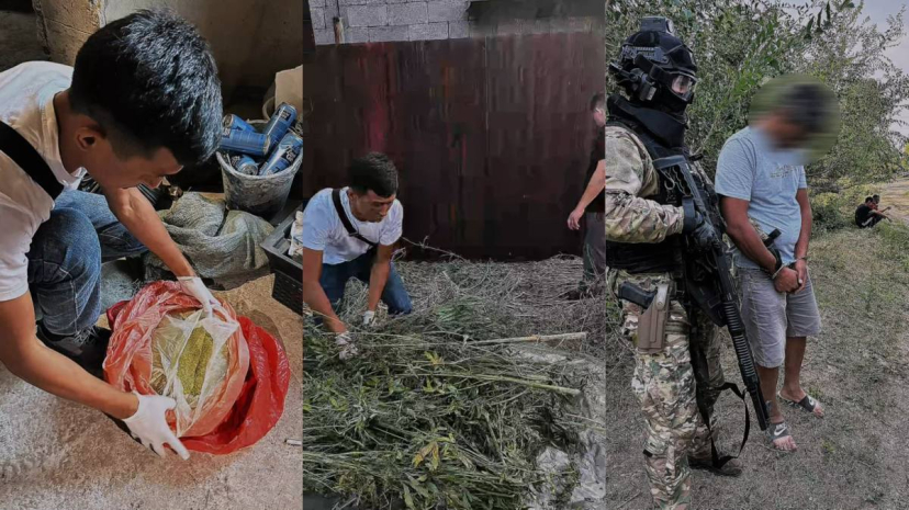Более 13 килограммов марихуаны изъяли у жителя Алматинской области