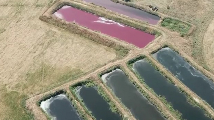 Отстойники не дают нормально дышать жителям Алматинской области