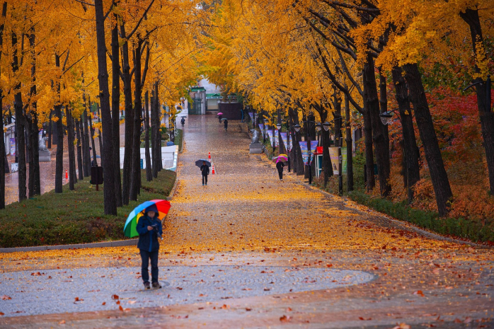Теплая погода вернется в Казахстан