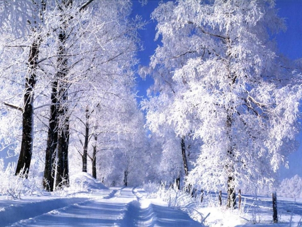 Неустойчивая погода сохранится в ряде областей Казахстана