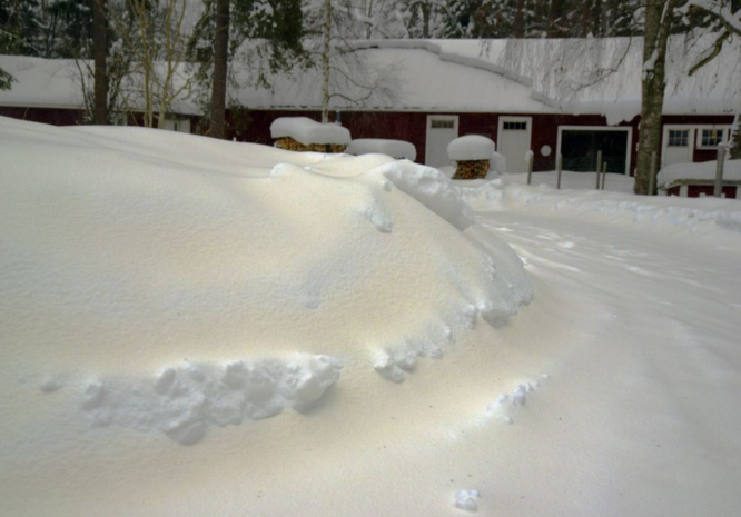 Жители востока Казахстана делятся в соцсетях видео с выпавшим желтым снегом