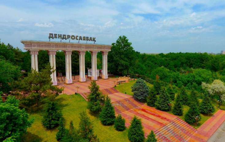 Руководство дендропарка в Шымкенте подозревается в хищении