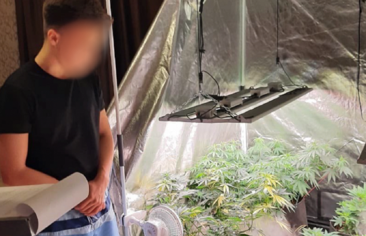 Элитные сорта конопли выращивал в квартире житель Нур-Султана