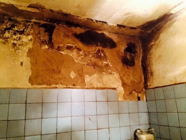 В центре Астаны семья прозябает в гниющей квартире