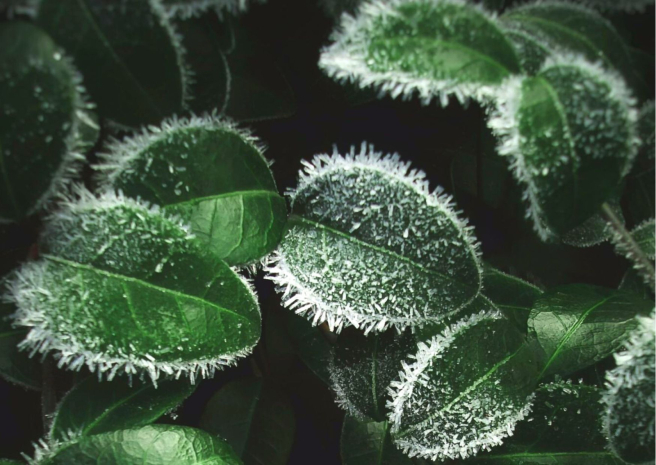 Дождь, гроза и град ожидаются на западе Казахстана