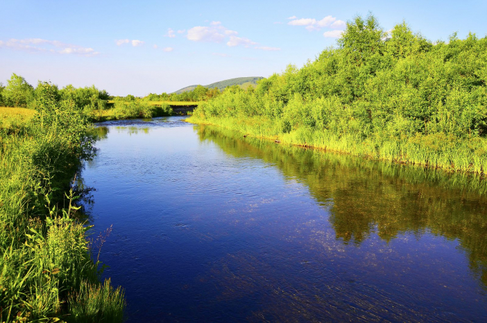 Факты «черного рынка» воды выявлены в Алматинской области
