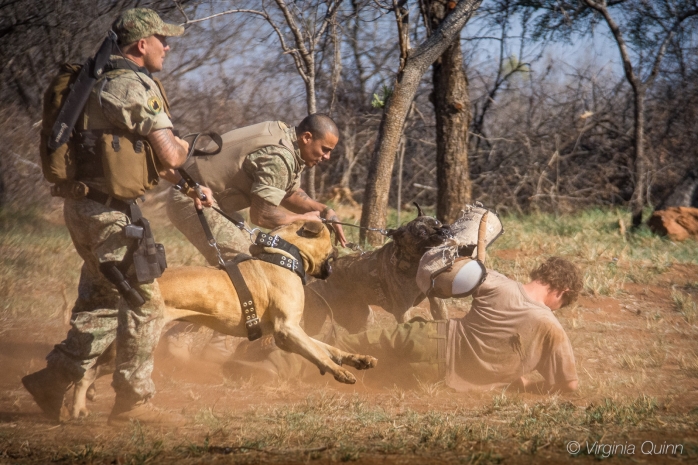 Всемирный фонд дикой природы обвинили в пытках и убийствах браконьеров
