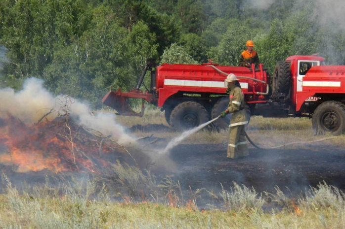 Права сотрудников лесного хозяйства нарушали в СКО