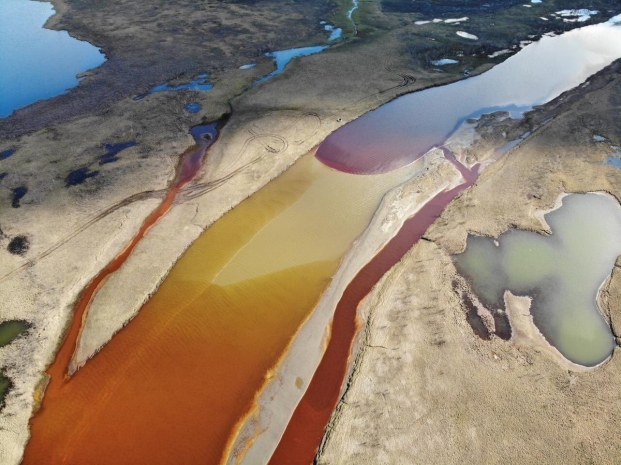 Спасатели рассказали о восстановлении фауны в районе разлива под Норильском