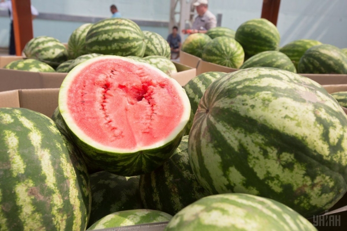 Торговцев арбузами и дынями разогнала полиция Уральска
