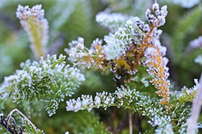 Резкое похолодание ожидается в Казахстане