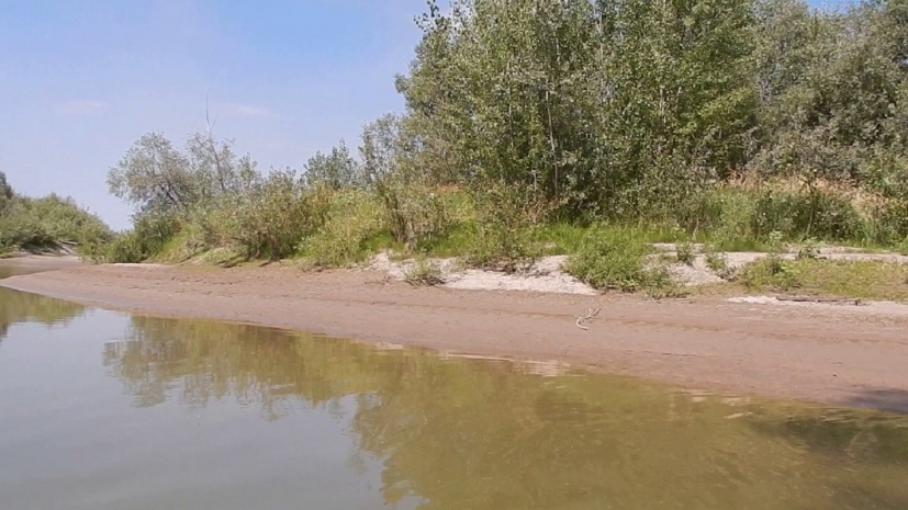 Без вести пропавшего программиста нашли мертвым на берегу Иртыша