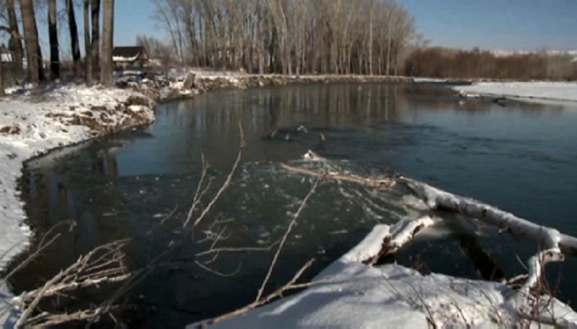 В ВКО поднялся уровень реки Базар
