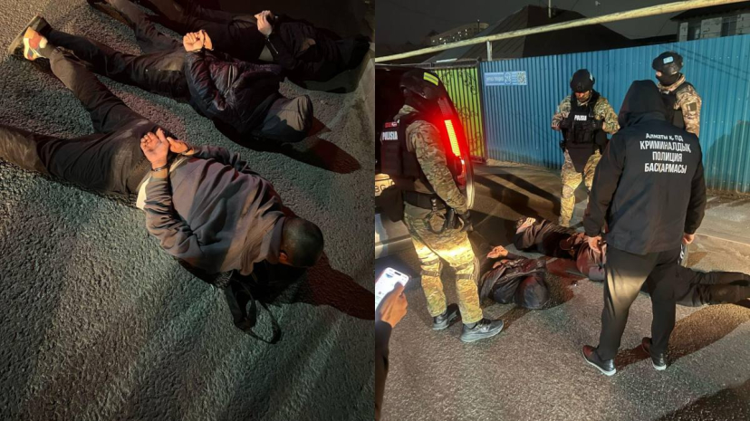 Преступная группа квартирных воров задержана в Алматы