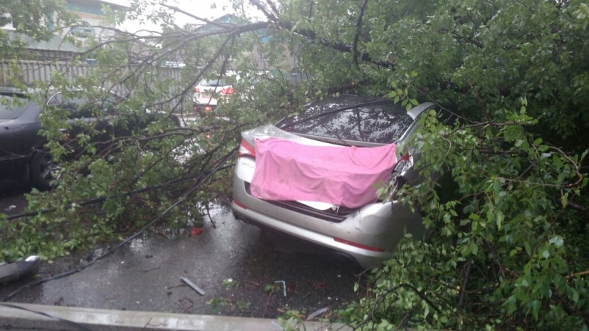 Упавшее на машину дерево в Алматы снесло три столба и дорожные знаки. ФОТО