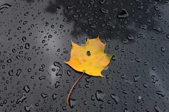 Дожди сохранятся на территории Казахстана