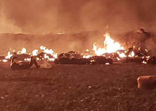 Больше 70 человек пострадали при взрыве трубопровода в Мексике