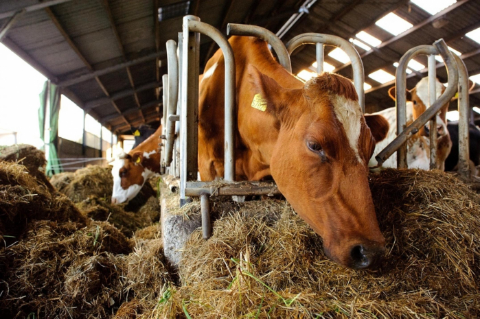 Госорган препятствовал работе инвестора в ЗКО