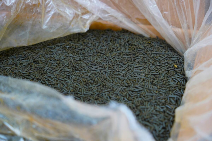 Реализацию крупной партии насвая и снюсов пресекли в Костанае