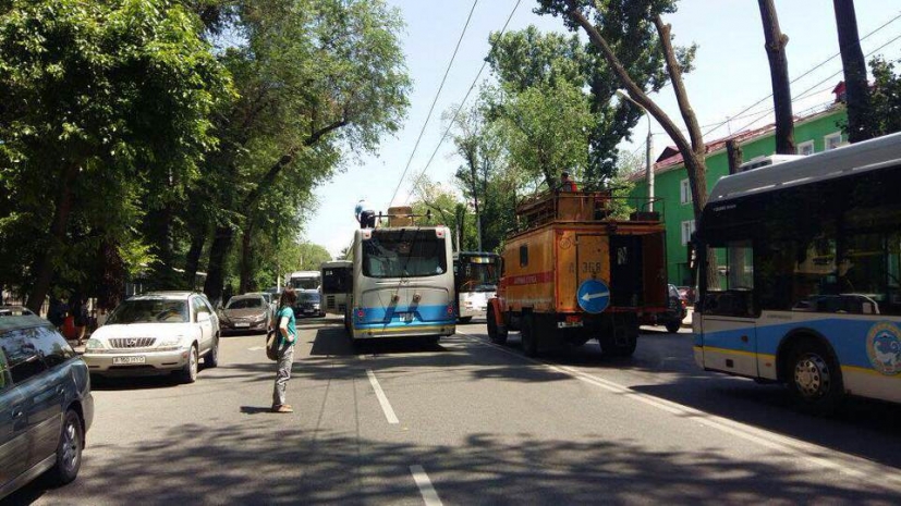 Упавшее дерево вызвало транспортный коллапс в Алматы