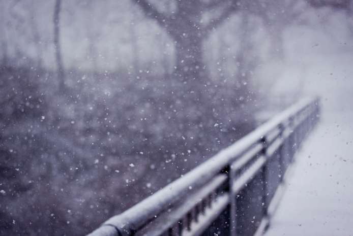 Почти на всей территории Казахстана ожидается снег