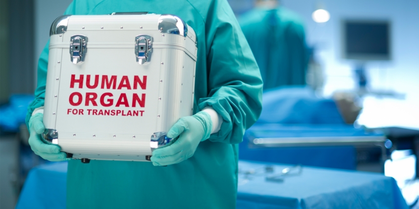 Министр здравоохранения призвала формировать доверие к системе посмертного донорства