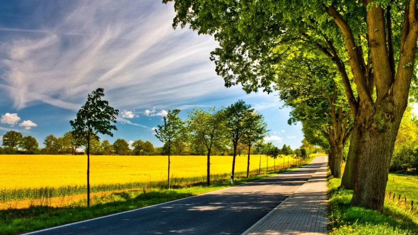 Погода без осадков сохранится на большей части Казахстана