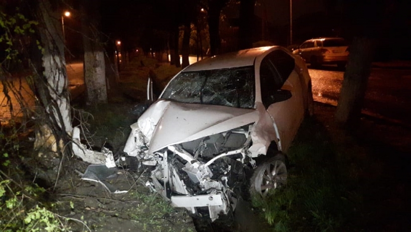 В дерево на полном ходу врезалась алматинка на «Тойоте»
