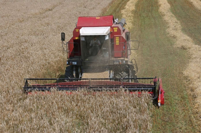 Топливо для сушки зерна выделено для аграриев ряда областей Казахстана