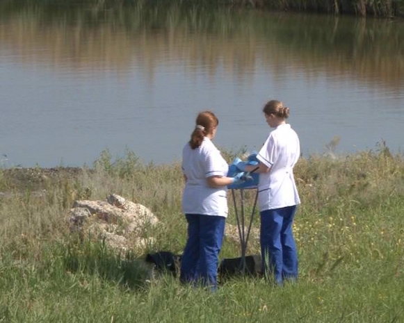 Более 1300 тонн ртути скопилось на дне озера Былкылдак