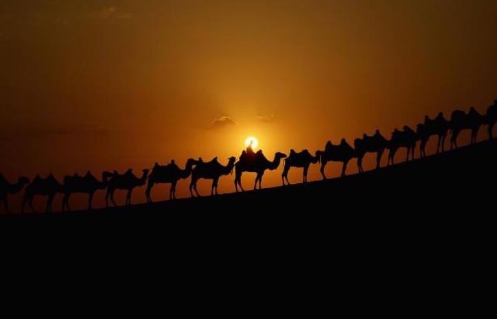 Шелковый путь поможет тюркоязычным странам укрепить общие узы