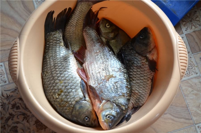 В ВКО обнаружен незаконный цех по переработке рыбы