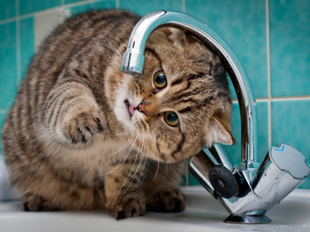 На отсутствие питьевой воды жалуются жители нескольких микрорайонов Актау