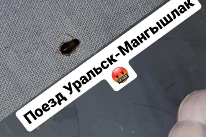 Пассажиры жалуются на тараканов в вагонах поезда Мангышлак – Уральск