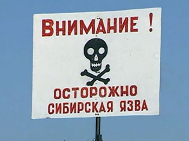 Десятки бесхозных захоронений очагов сибирской язвы обнаружены в области Жетiсу