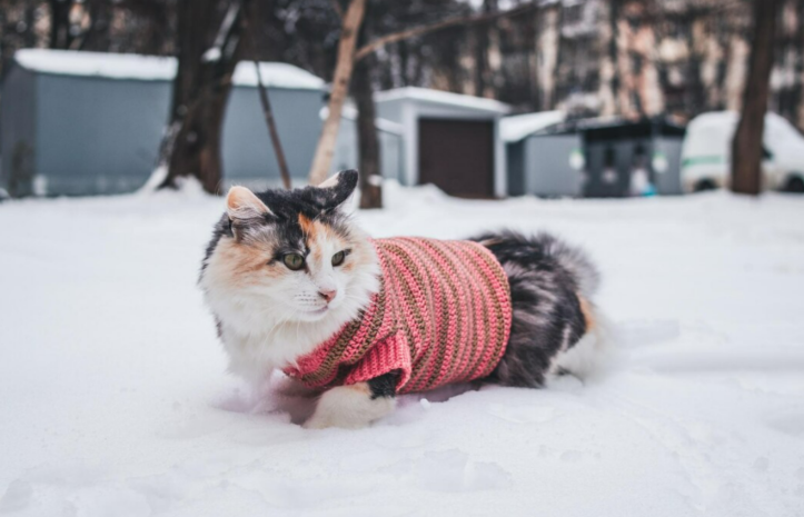 Неустойчивая погода сохранится на большей части Казахстана