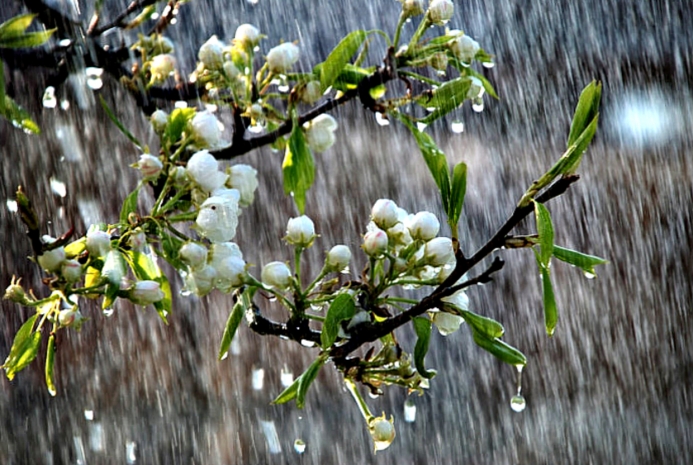 Неустойчивая погода сохранится в Казахстане