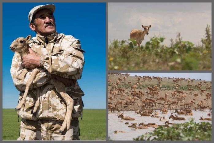 Пожизненные сроки запросили для обвиняемых в убийстве инспектора