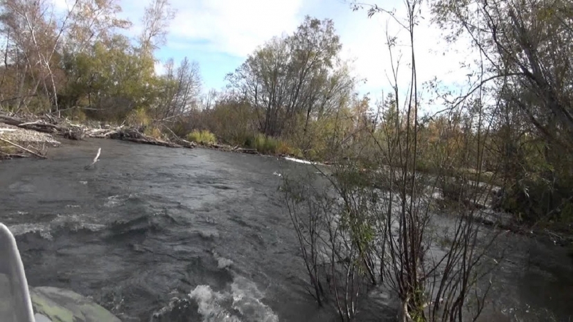 Преследовавший браконьера военнослужащий утонул в реке на Камчатке