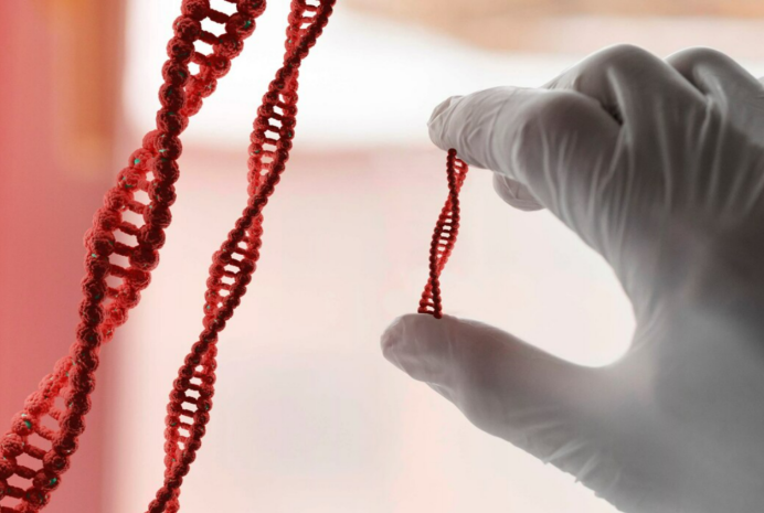 Анализ ДНК помог открыть преступление 2016 года в Астане