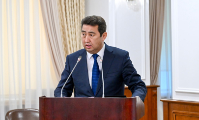 Фейком назвал Сапаров информацию о вывозе мяса под видом картошки