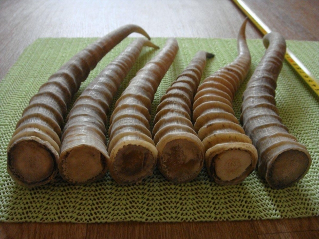 Почти 430 миллионов тенге ущерба нанес государству житель ЗКО